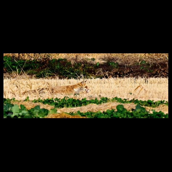 PHOTO84, CLUB, 84 , LUBERON